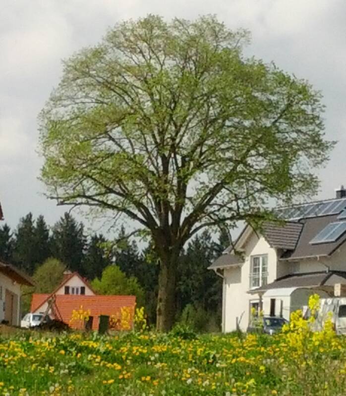 Waldkindergarten Altfraunhofen